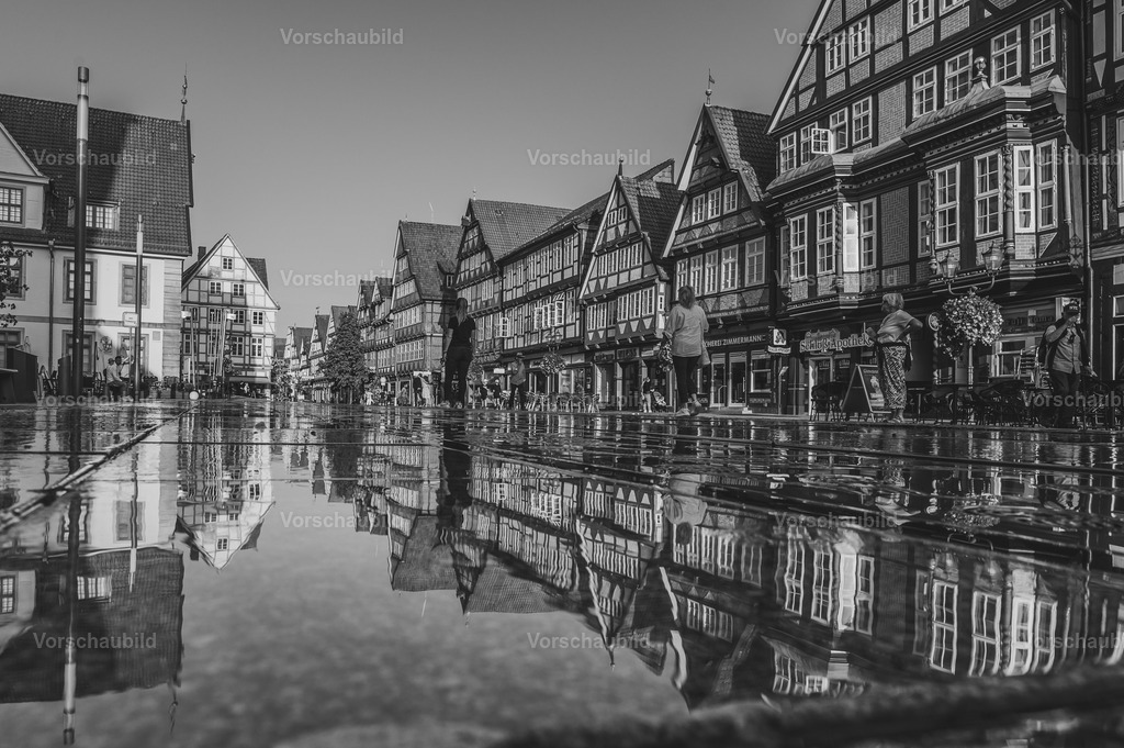 Fotoatelier Christian Hofmeister | Stadtlandschaften, sowie Makro-, Landschafts-, Natur- und Schwarzweißfotos aus der Region Celle &amp; Umgebung