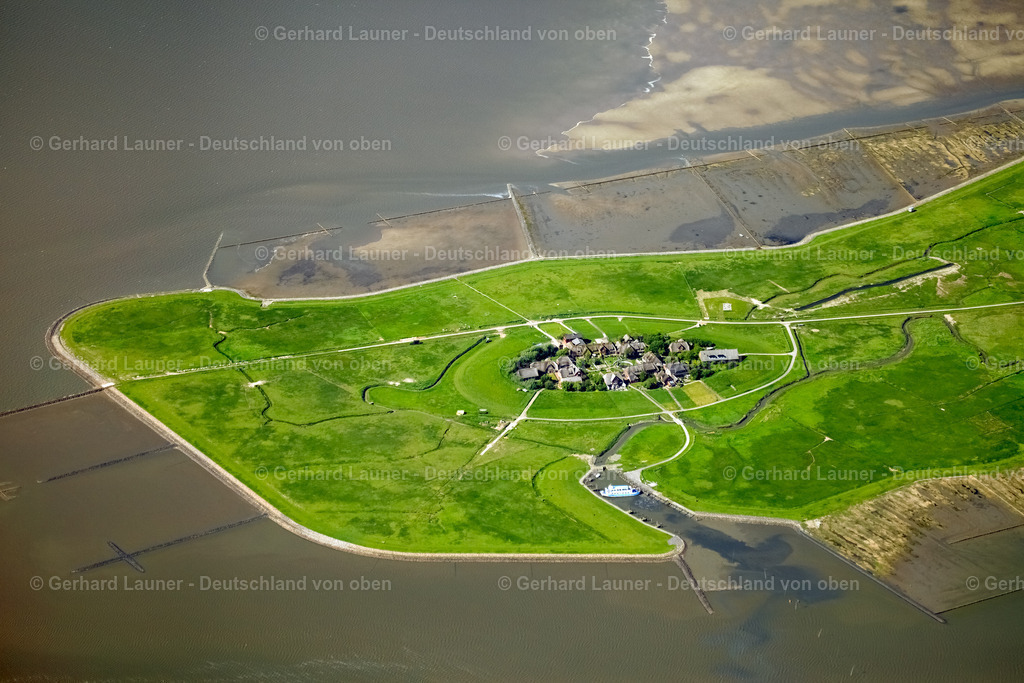 3090705 | Hallig Oland, Nationalpark Schleswig-Holsteinisches Wattenmeer