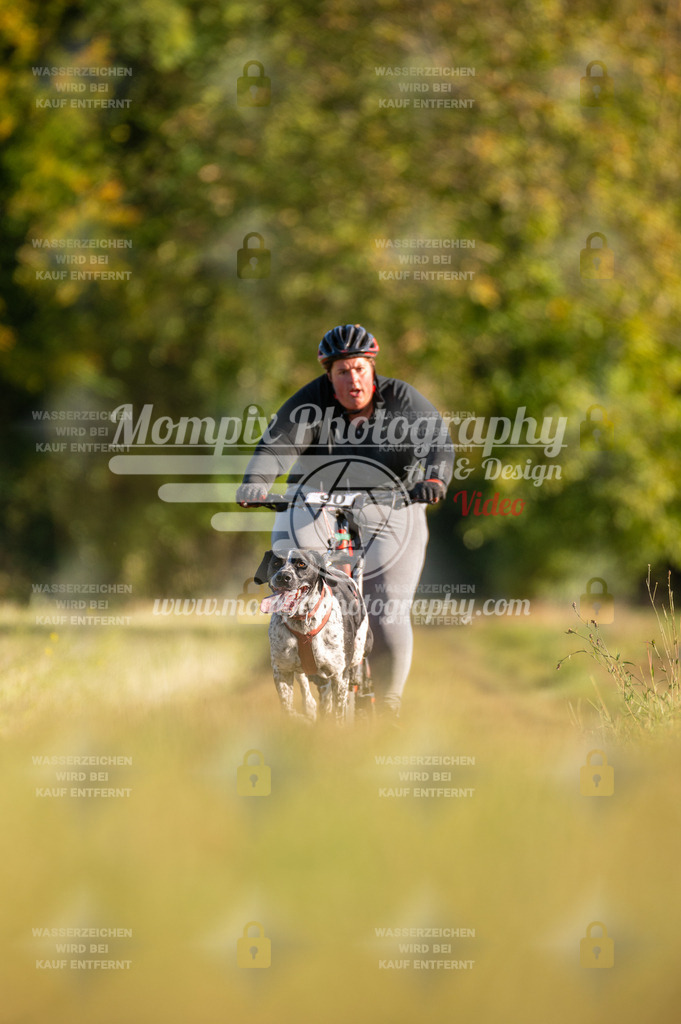 CDLBDB_15_10_2023_Dimanche-222 | PayLife