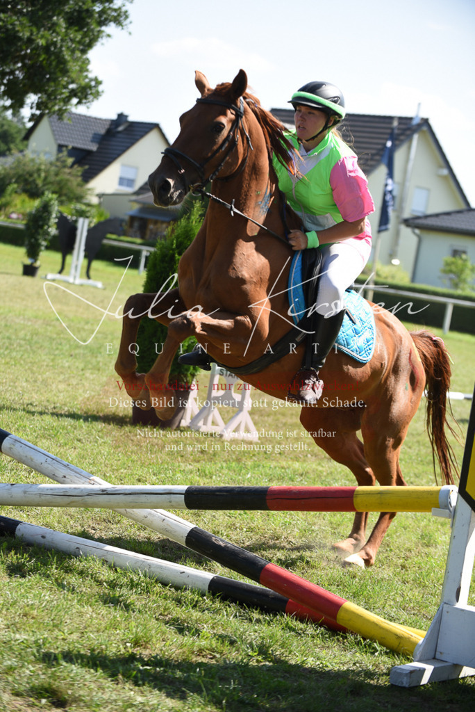 DSC_0418 | Pferde- und Turnierfotografie in Westsachsen. Pferdeportraits, Auftragszeichnungen und intuitive Kunst.