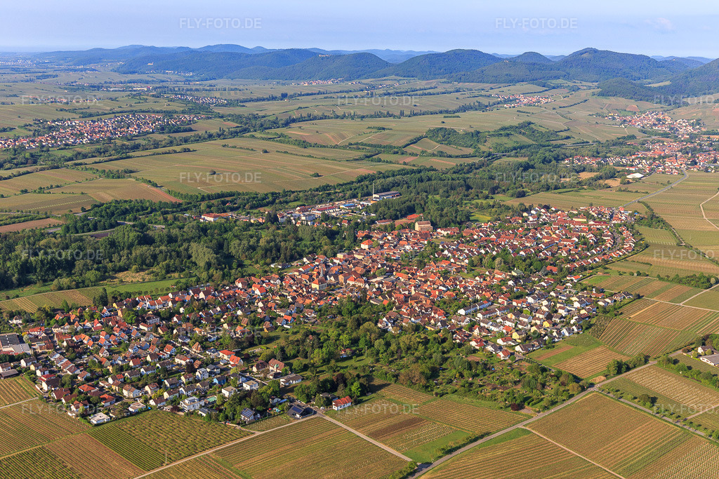 Luftbild: Ortsansicht von Nordosten im Ortsteil Godramstein in Landau im Bundesland Rheinland-Pfalz in Deutschland. Foto: IMG_120720.jpg vom 03.05.2020 durch Werner Riehm/FLY-FOTO.de