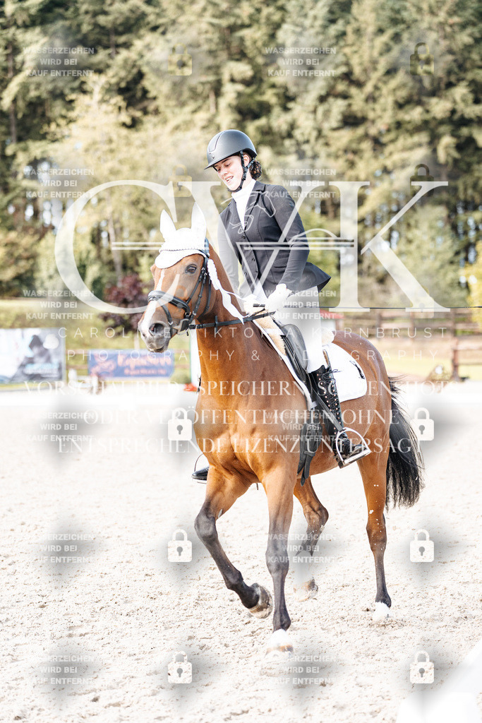 CK901436 | Turnierfotografie Pferdefotografie Trier Rheinland-Pfalz Pferdesport Reitsport Tierfotografie Sportfotografie Pferdevideo Pferdevideografie Equestrianvideography equestrianphotography  - Realisiert mit Pictrs.com