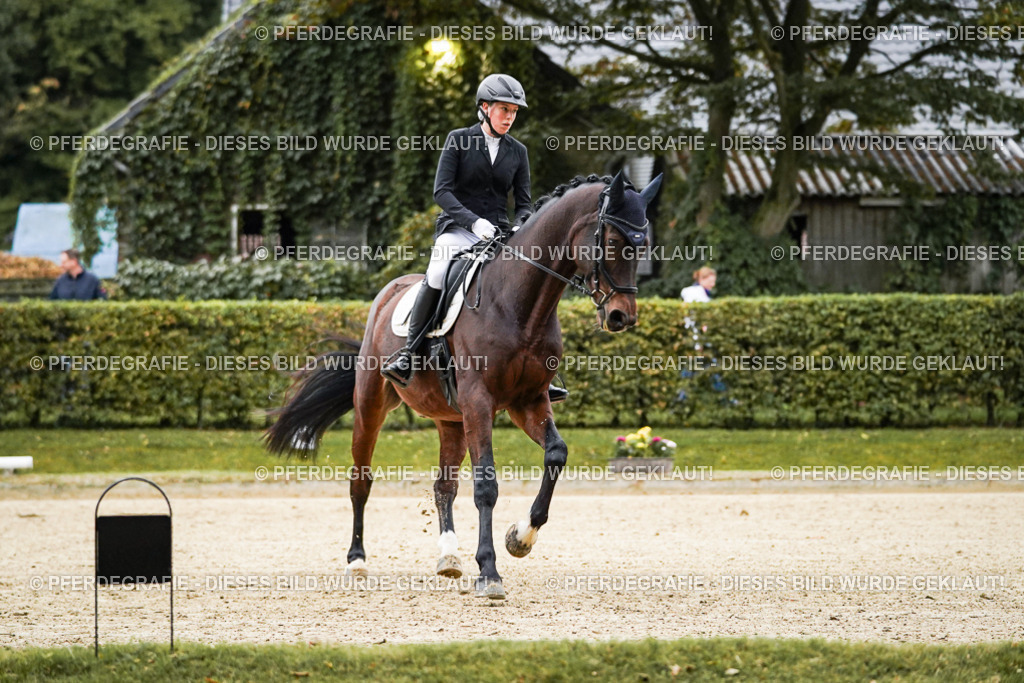 DSC06445 | Pferdegrafie