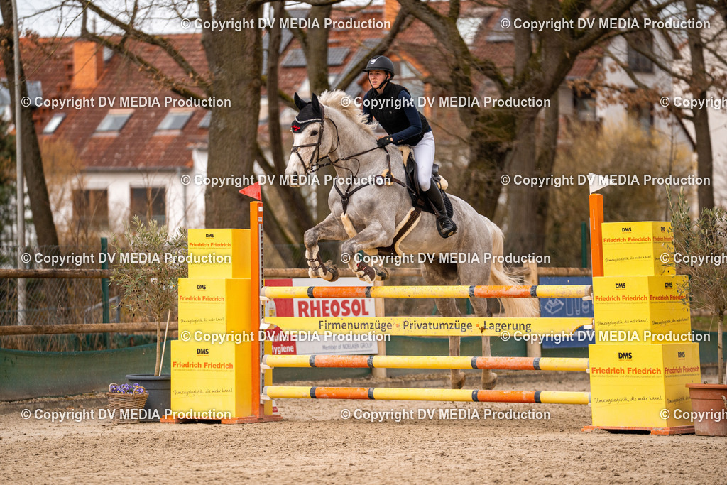 Kranichstein Tag 2-660 | dv-media-shop - Realisiert mit Pictrs.com