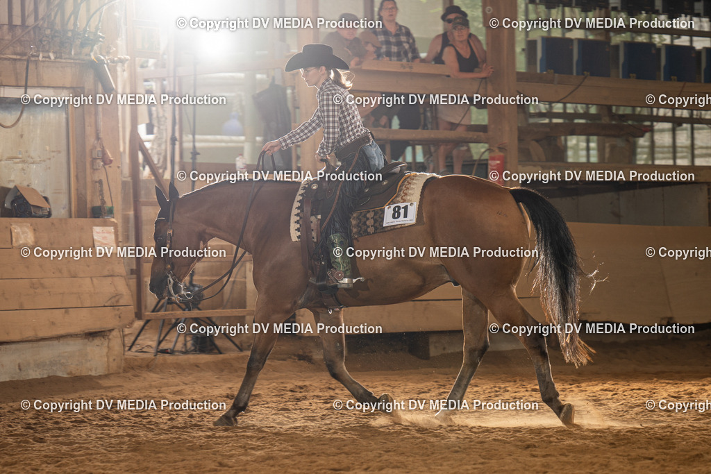 NID01654 | dv-media-shop - Realisiert mit Pictrs.com