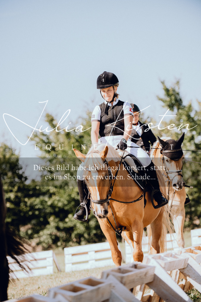 DSC_7081 | Pferde- und Turnierfotografie in Westsachsen. Pferdeportraits, Auftragszeichnungen und intuitive Kunst.