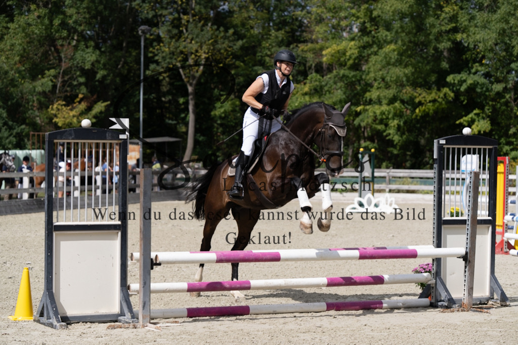 A7V07350 | Turnier/Reitfotograf