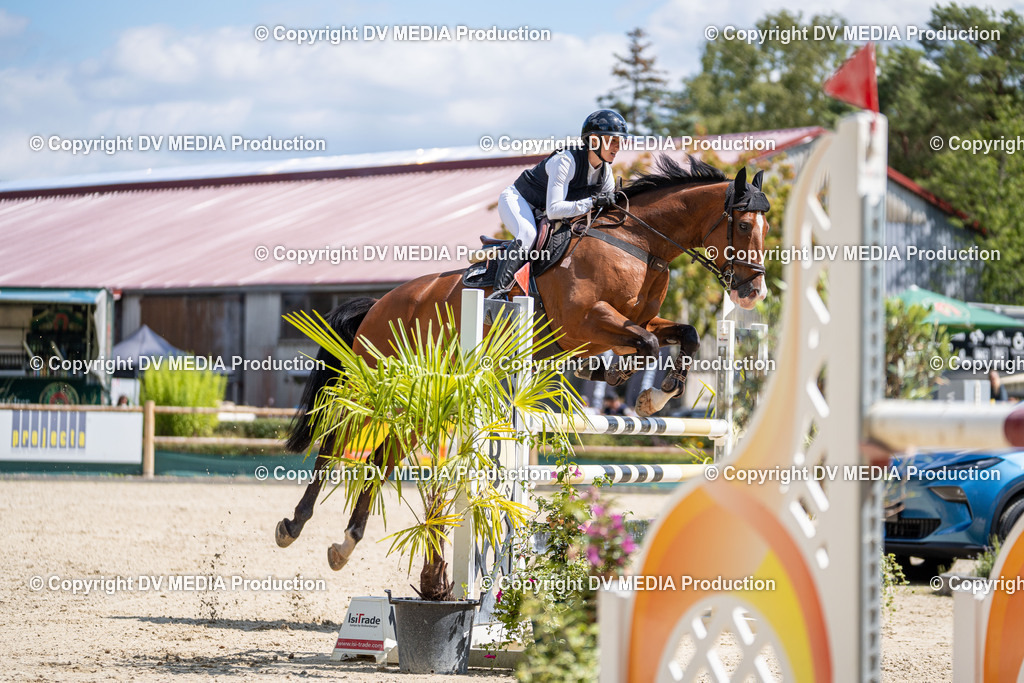 Hessische Tag 1-784 | dv-media-shop - Realisiert mit Pictrs.com