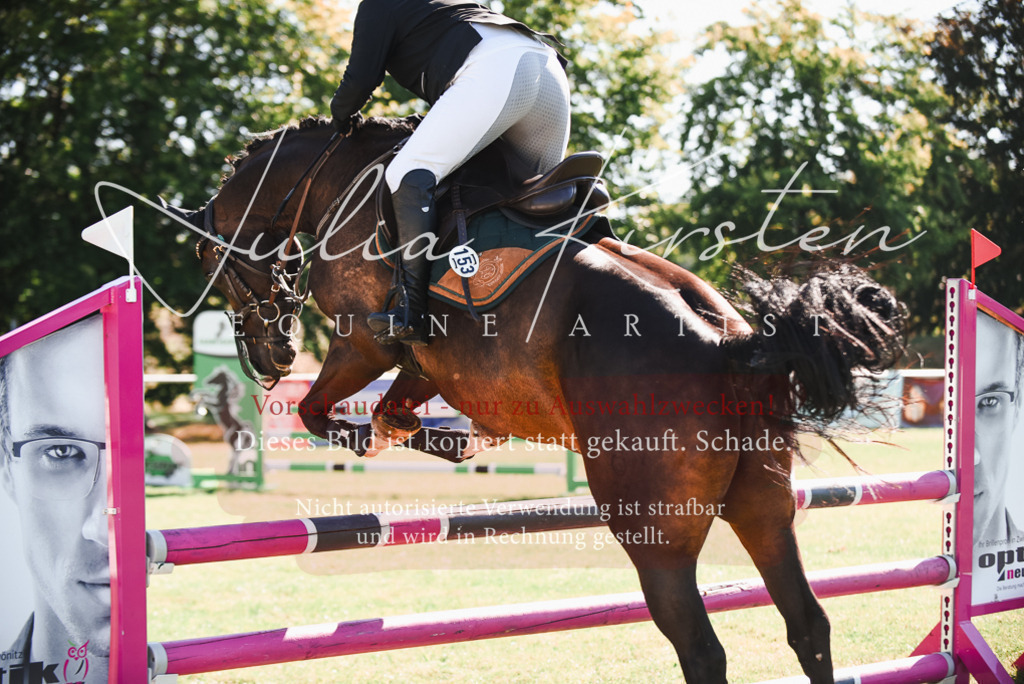 DSC_2524 | Pferde- und Turnierfotografie in Westsachsen. Pferdeportraits, Auftragszeichnungen und intuitive Kunst.