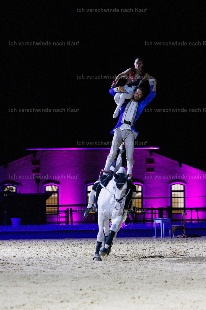 FHClassics-222 | working equitationturnier fotograf videograf stoibphotography marixx film working equitation deutschland reitsport turnierfotografie eventfotografie equestrian events