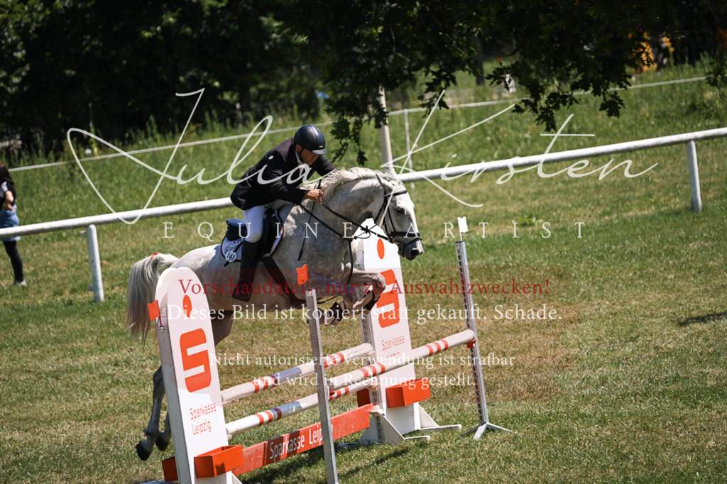 DSC_9997 | Pferde- und Turnierfotografie in Westsachsen. Pferdeportraits, Auftragszeichnungen und intuitive Kunst.
