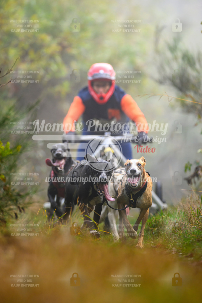 MompixPhotography_20TSB_E4_Kart-5 | PayLife