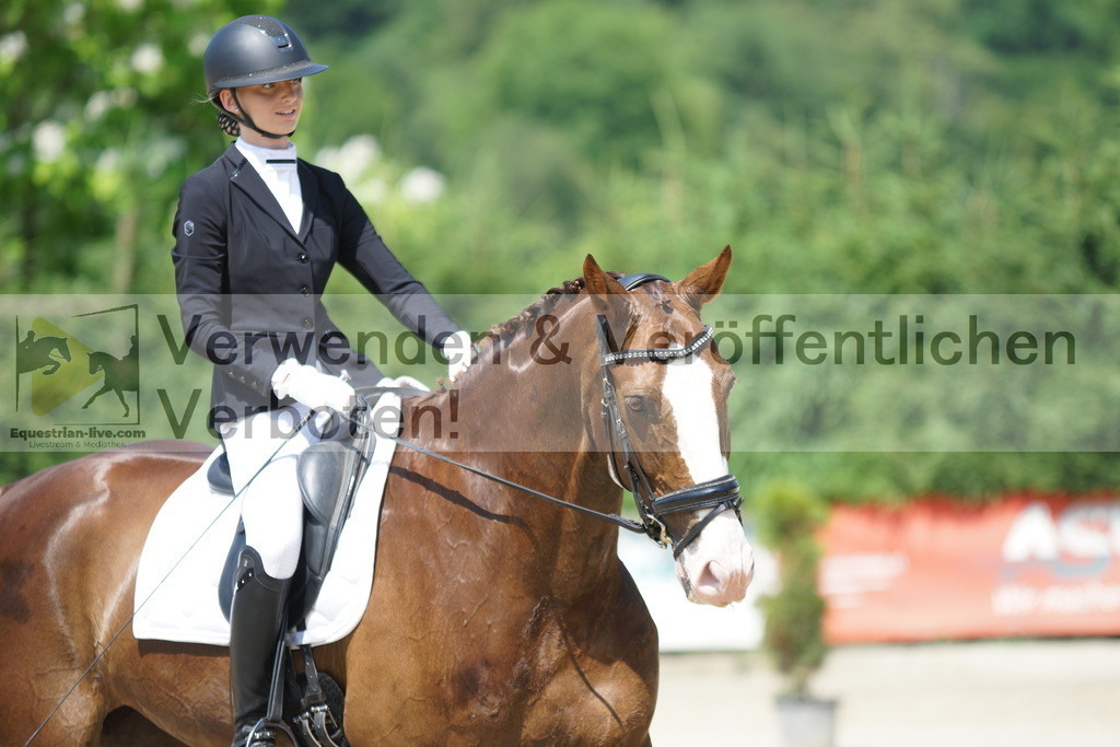 DSC01651 | equestrian-live-com
