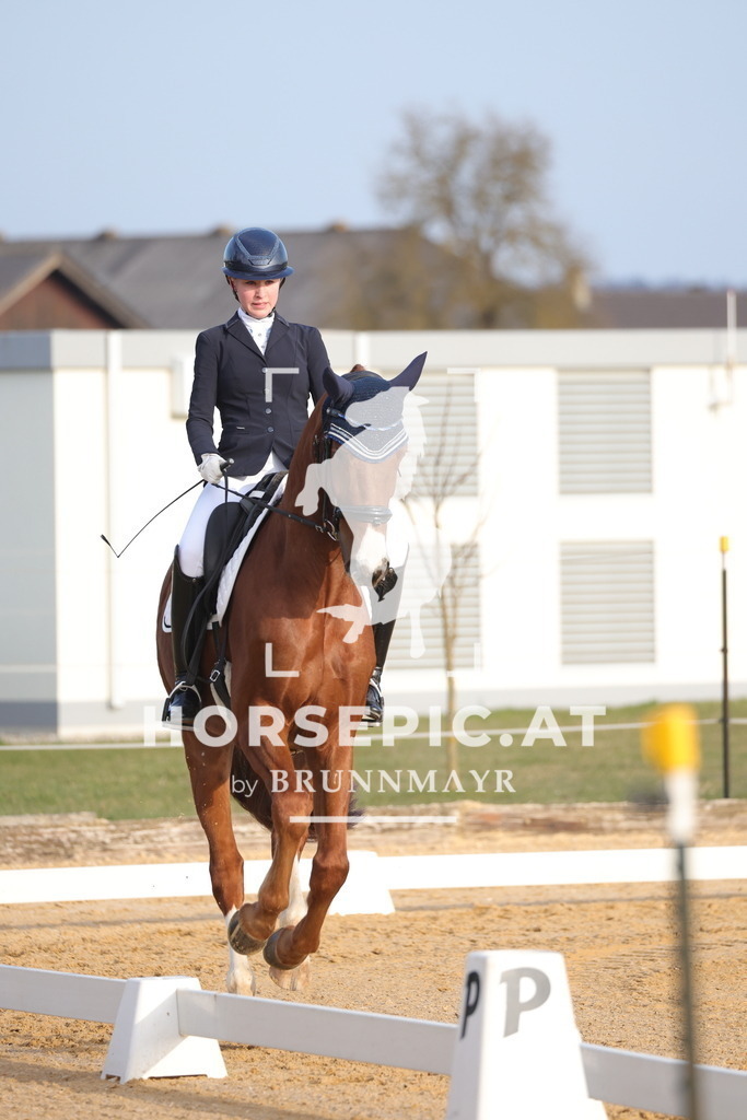 0P6A5936 | Willkommen bei Brunnmayr - Design & Fotografie – Ihrem Spezialisten für Reitturniere und Pferdeveranstaltungen in Oberösterreich, Salzburg und Bayern! Seit über 17 Jahren sind wir leidenschaftlich dabei.