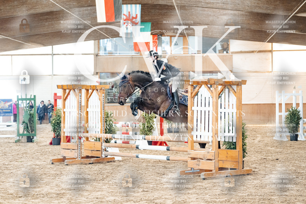 CK903802 | Turnierfotografie Pferdefotografie Trier Rheinland-Pfalz Pferdesport Reitsport Tierfotografie Sportfotografie Pferdevideo Pferdevideografie Equestrianvideography equestrianphotography  - Realisiert mit Pictrs.com
