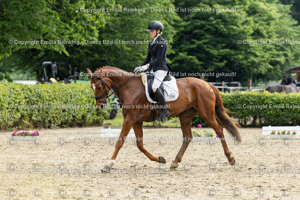 CL5A4580 | Emilia Reinking Fotografie - Realisiert mit Pictrs.com