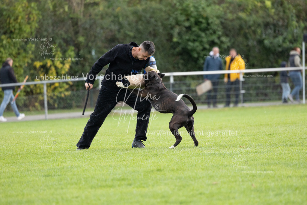 _16A7122 | Einzigartige Fotos von Hunden & Menschen –Actionfotos, Portraits, Vereinsaufnahmen & Paarshootings – authentisch, lebendig & mit Herz.
