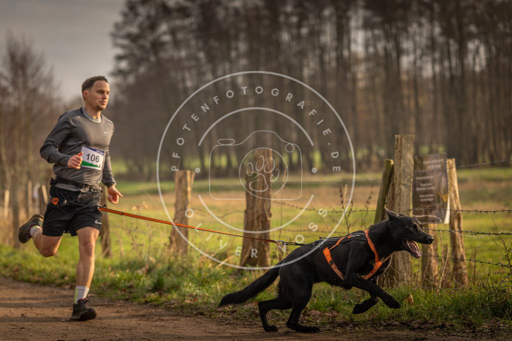 Pfotenfotografie_DV3A4872 | Hundefotografie, Tierfotograf, Pfotenfotografie, Fotoshooting Hund, Hunde Portrait, Hundesport, Hundeportraits, Heideshooting, Hunde, Sportfotograf, Hundefotograf, Turnierhundsport, THS,  - Realisiert mit Pictrs.com