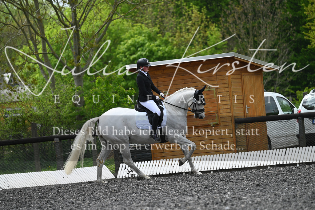 20230512_JK-Röhrsdorf-08-005 | Pferde- und Turnierfotografie in Westsachsen. Pferdeportraits, Auftragszeichnungen und intuitive Kunst.