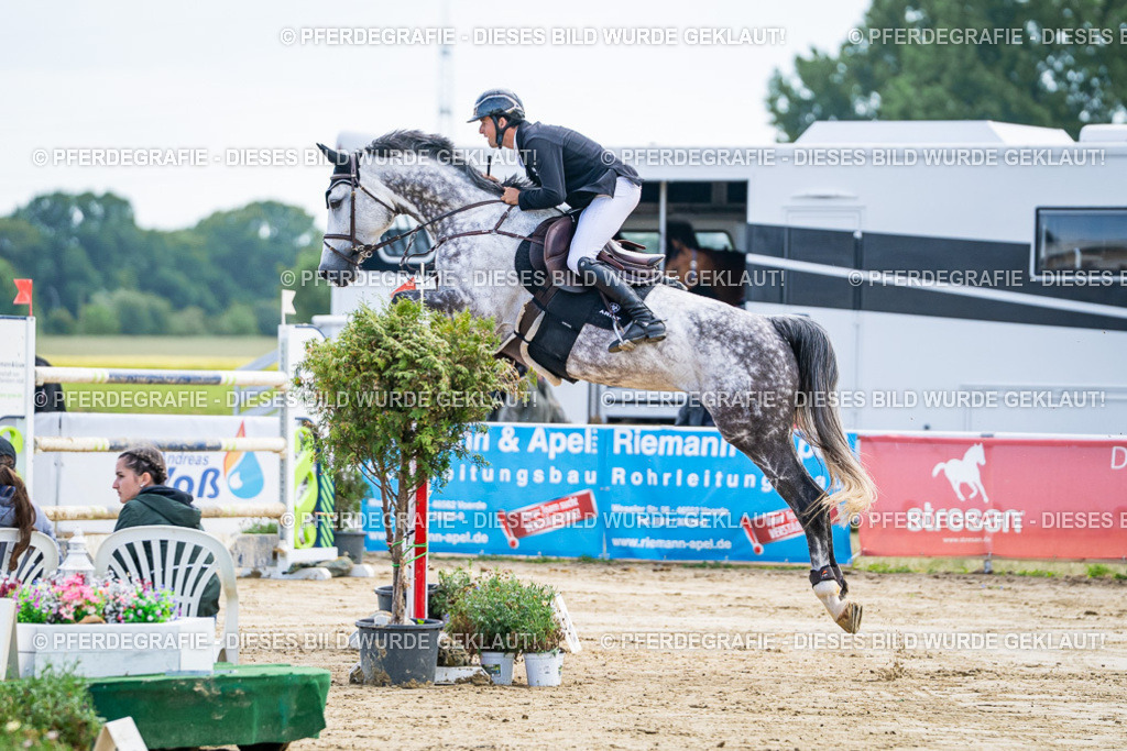 DSC06710 | Pferdegrafie