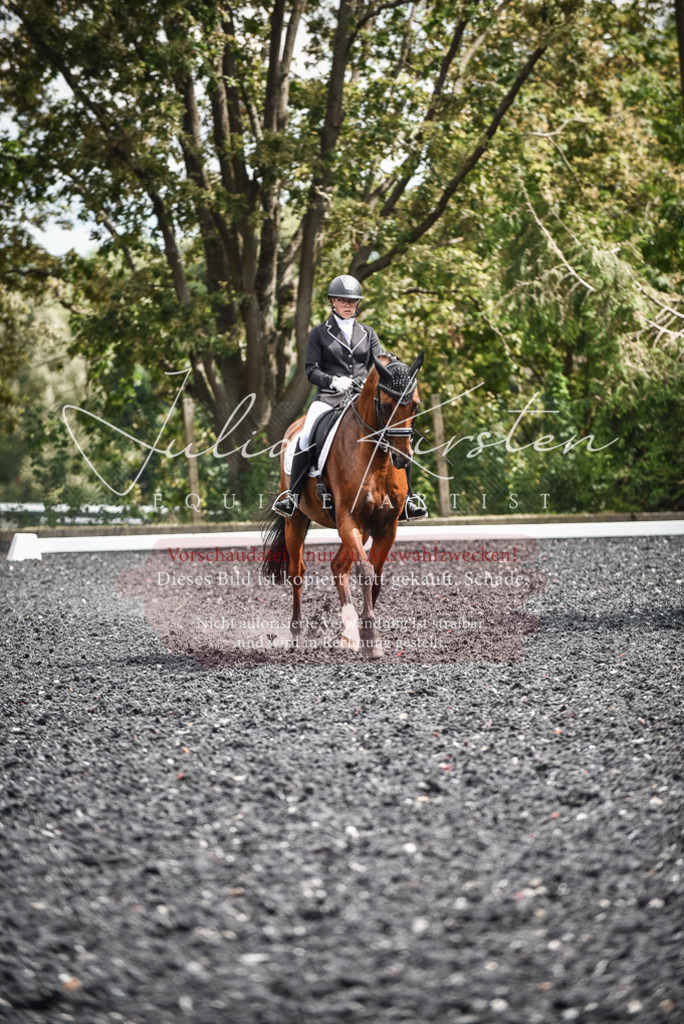 DSC_4967 | Pferde- und Turnierfotografie in Westsachsen. Pferdeportraits, Auftragszeichnungen und intuitive Kunst.