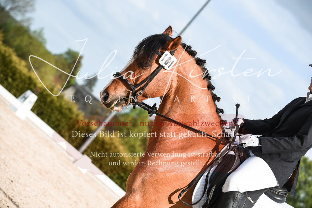 20230518_JK-Röhrsdorf-12-0620 | Pferde- und Turnierfotografie in Westsachsen. Pferdeportraits, Auftragszeichnungen und intuitive Kunst.