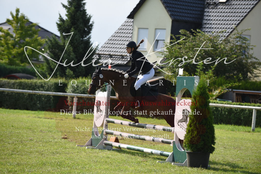 DSC_8943 | Pferde- und Turnierfotografie in Westsachsen. Pferdeportraits, Auftragszeichnungen und intuitive Kunst.