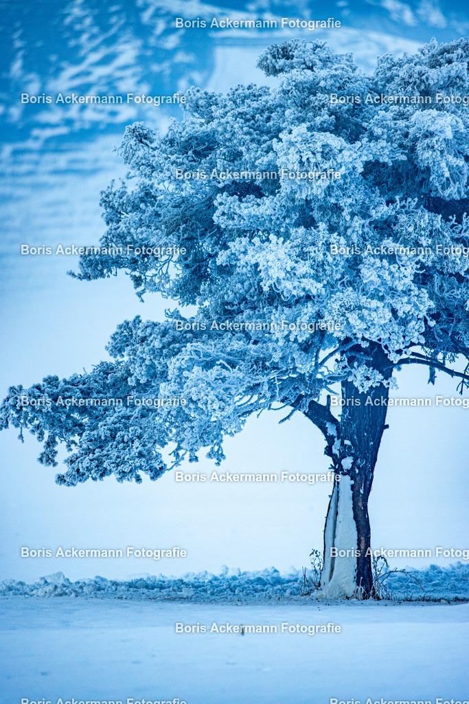 1M5A7116 | FineArtPrint, Hahnemühle, FeeGalerie, Fee Galerie, Fotokunst, Fotografie, Canonphotography, Bergfoto, Matterhorn, Rimpfischhorn, Allalinhorn, Saas-Fee, Wallis, Valais, Switzerland, Bergfotografie