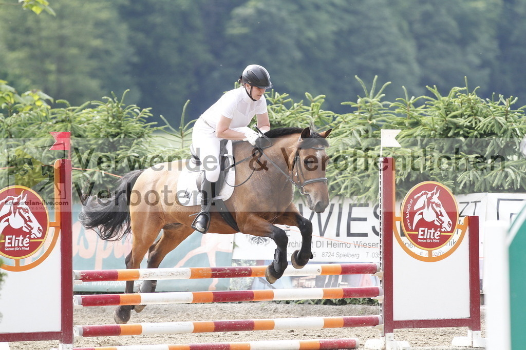 _MG_0985 | equestrian-live-com