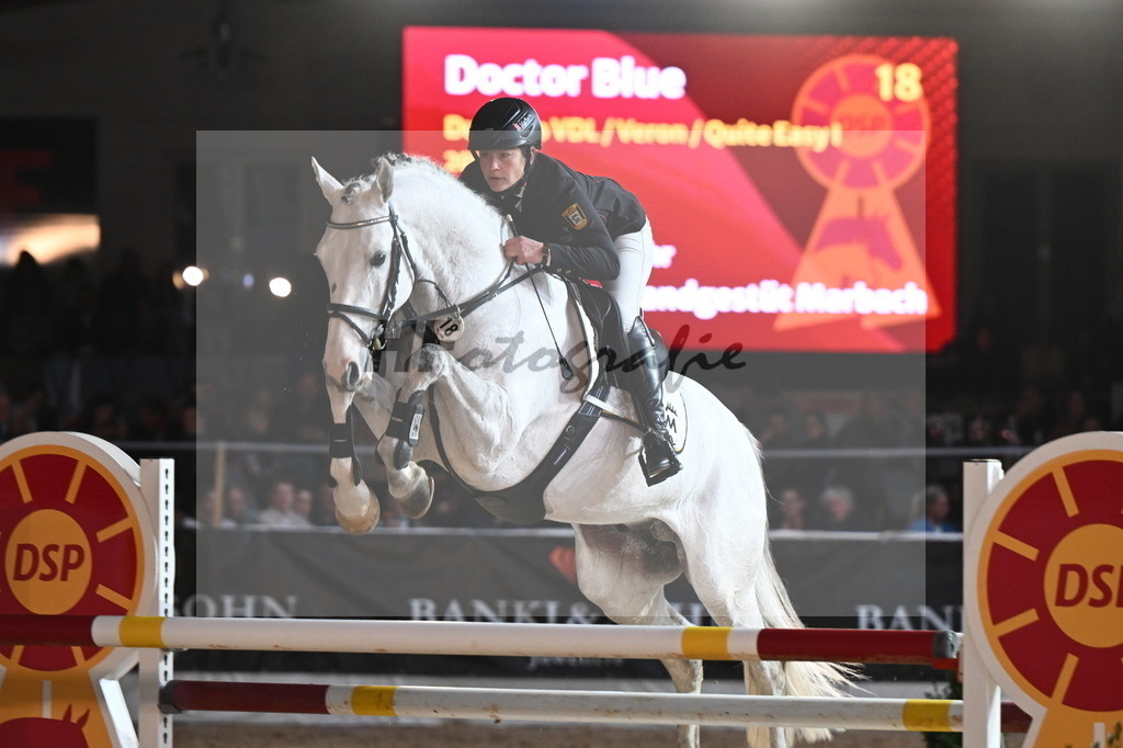 Doctor Blue_2241974 | hf-fotografie - Realisiert mit Pictrs.com