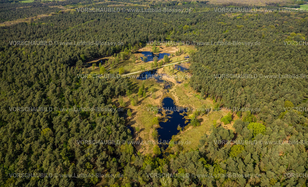 Brueggen240403127HeidhausenHeidemoore-I | Luftbild, Naturschutzgebiet NSG Heidemoore I, Wald und Teiche Feuchtgebiet an der deutsch-niederländischen Grenze, Heidhausen, Brüggen, Niederrhein, Nordrhein-Westfalen, Deutschland