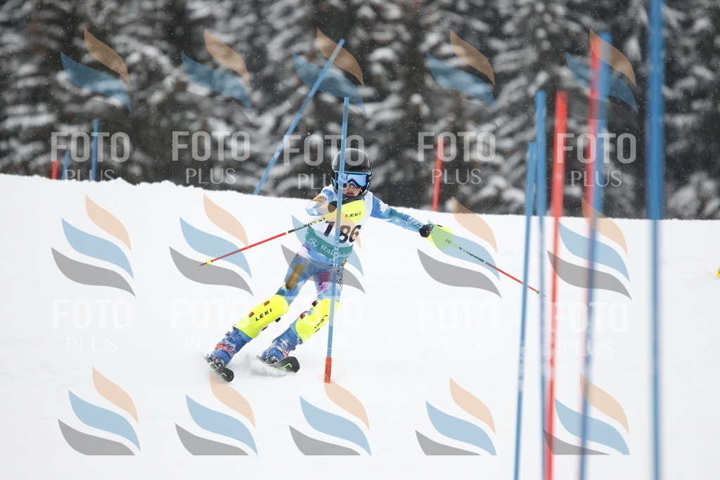 A2130 | holidayphoto