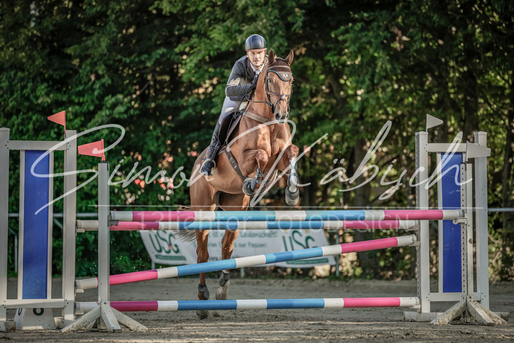 20250906-_3LI3153 | Tierfotografie Pferde, Hunde, Katzen, Haustiere.
Turnierfotografie Reitturniere, Reiten, Springreiten, Dressur in Hanau, dem Main-Kinzig-Kreis und dem Rhein-Main- Gebiet um Frankfurt