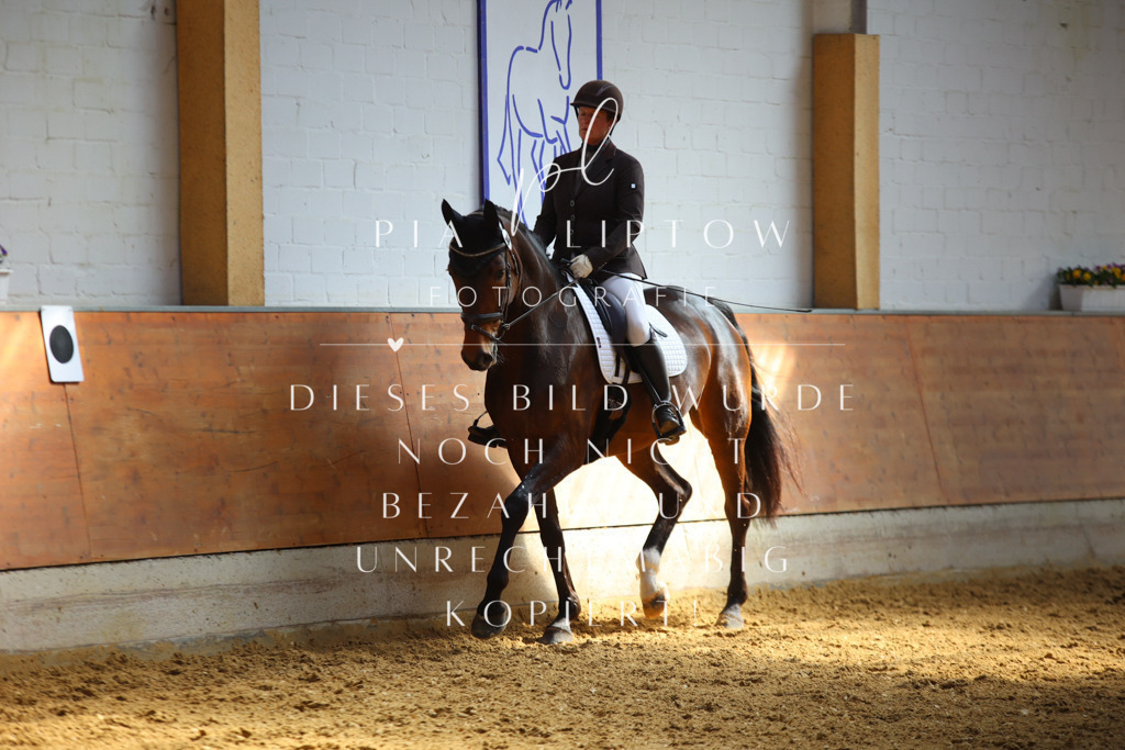 IMGT7202 | pl-fotografie