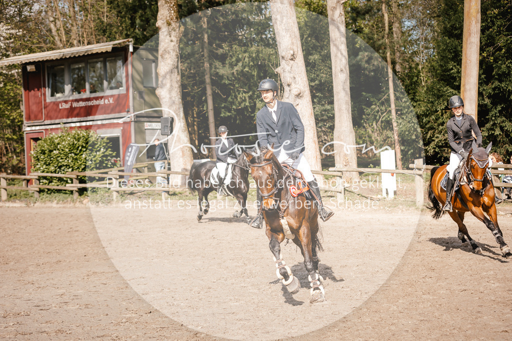 3I6A3828 | Stimmungsvolle Portraits und Reitsportfotografie im Ruhrgebiet und im Münsterland.

Pferdefotografie, Hundefotografie, Tierfotografie, Reportagen, Portraits von Tier und Mensch, Turnierfotografie in Bochum, Recklinghausen, Marl, Haltern am See, Dülmen.. - Realisiert mit Pictrs.com