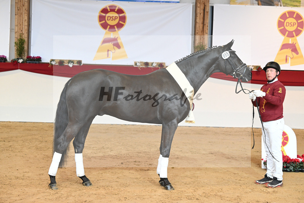 Kat-Nr. 65 Morricone I_Neff_1232006 | hf-fotografie - Realisiert mit Pictrs.com