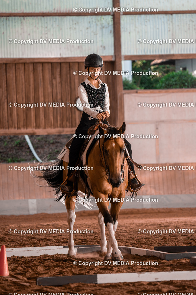 NE300080 | dv-media-shop - Realisiert mit Pictrs.com