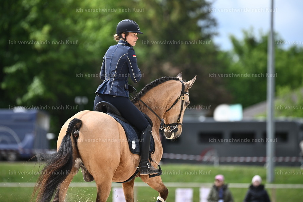 PI26_ST_Sara_Landvogt226_2502.JPG | working equitationturnier fotograf videograf stoibphotography marixx film working equitation deutschland reitsport turnierfotografie eventfotografie equestrian events