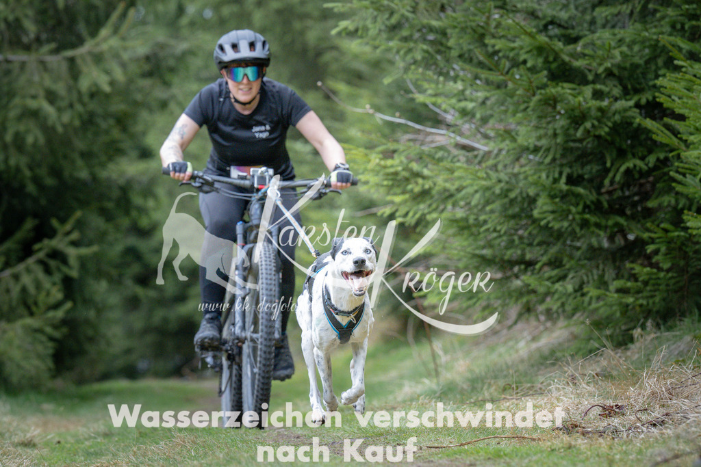 1311_ZZ93931 | kk-dogfotos