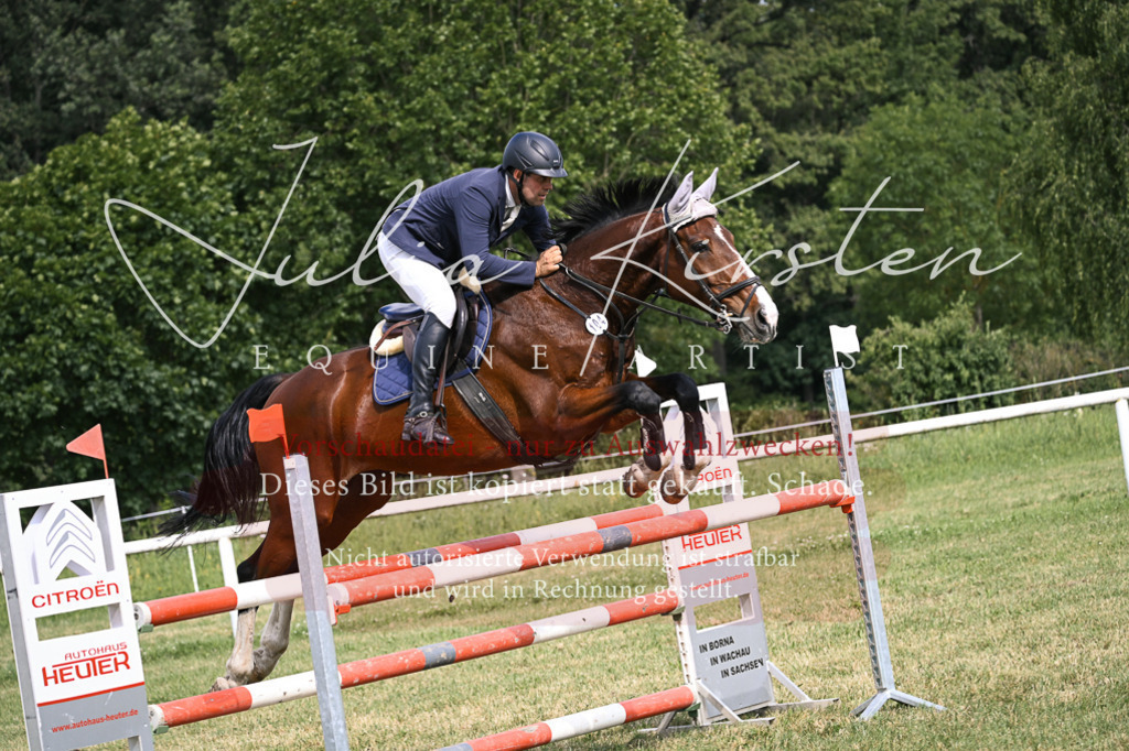 DSC_0778 | Pferde- und Turnierfotografie in Westsachsen. Pferdeportraits, Auftragszeichnungen und intuitive Kunst.