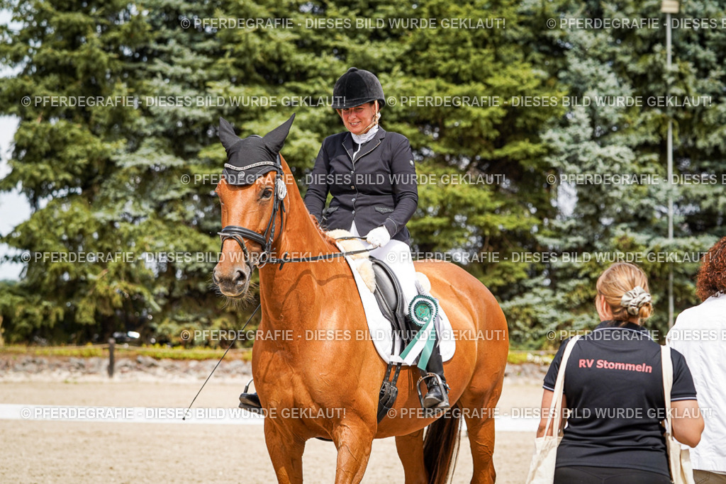 DSC04553 | Pferdegrafie