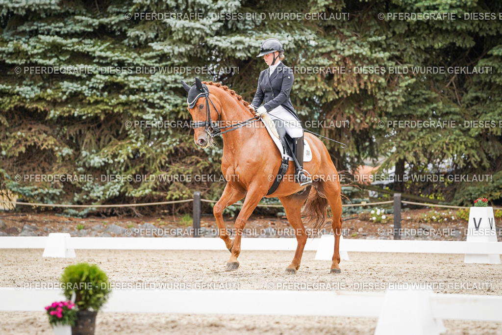 DSC05283 | Pferdegrafie