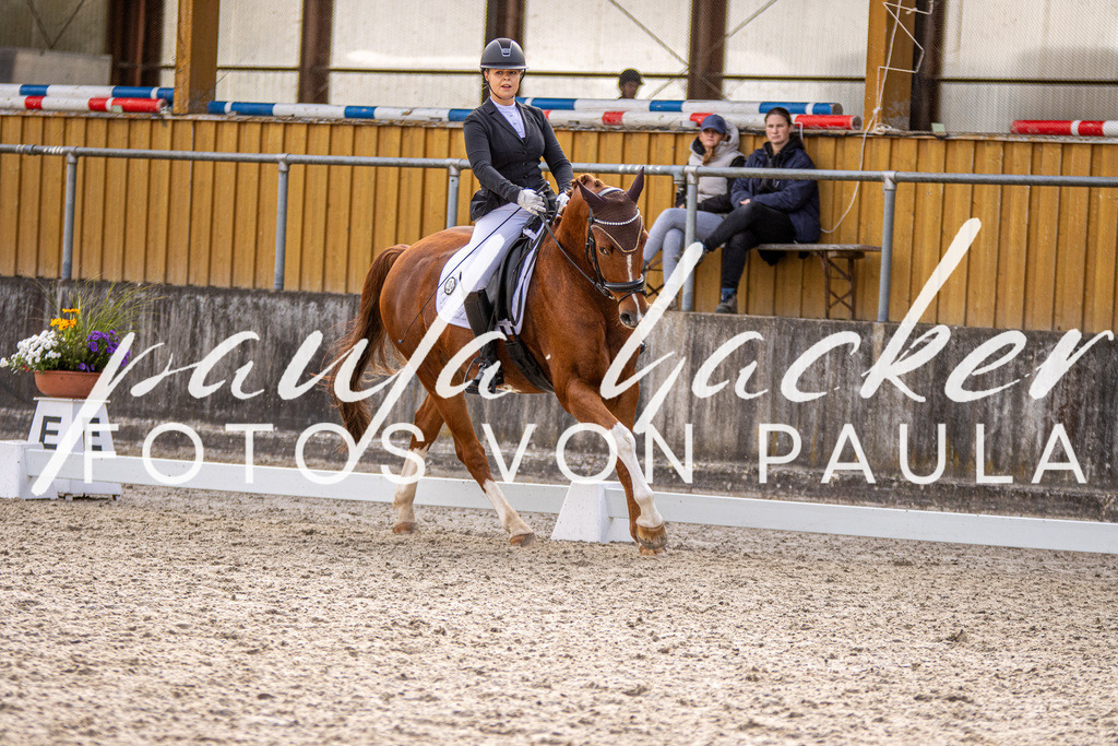 IMG_3343 | Erleben Sie dynamische Sport- und emotionale Tierfotografie in Süddeutschland mit Fotos von Paula. Spezialisiert auf Pferde- und Hundefotografie sowie Sportevents. Kontaktieren Sie mich für einzigartige und ausdrucksstarke Bilder Ihrer besonderen Momente.