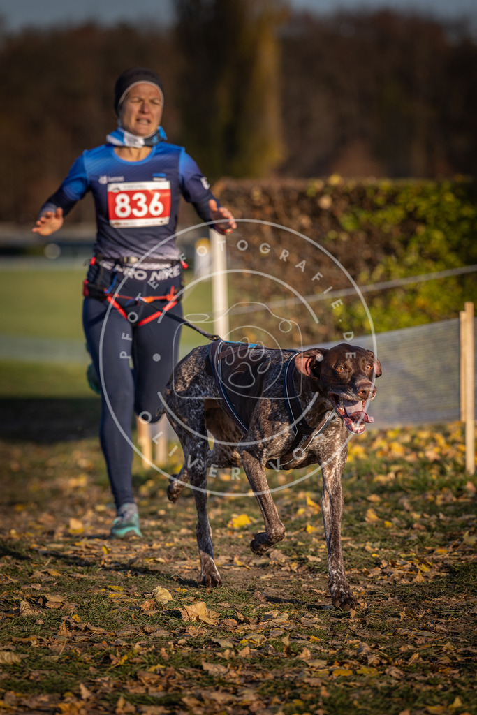 CaniXpix_DV3A3536 | Hundefotografie, Tierfotograf, Pfotenfotografie, Fotoshooting Hund, Hunde Portrait, Hundesport, Hundeportraits, Heideshooting, Hunde, Sportfotograf, Hundefotograf, Turnierhundsport, THS,  - Realisiert mit Pictrs.com