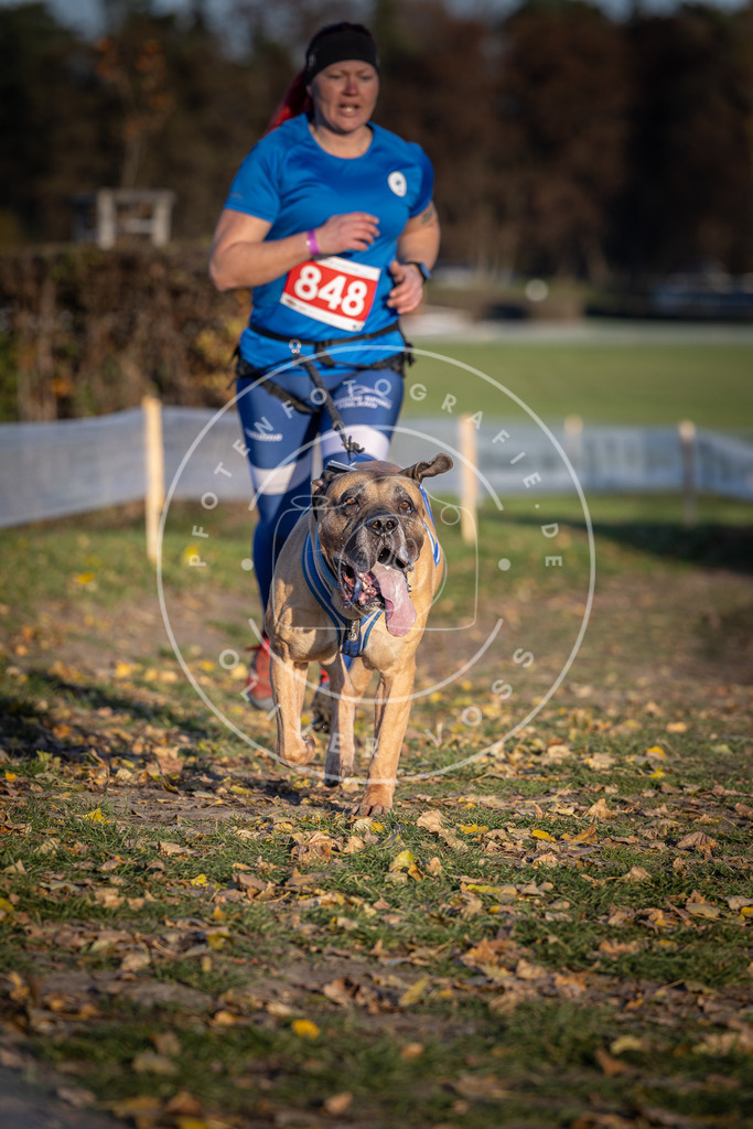 CaniXpix_DV3A3850 | Hundefotografie, Tierfotograf, Pfotenfotografie, Fotoshooting Hund, Hunde Portrait, Hundesport, Hundeportraits, Heideshooting, Hunde, Sportfotograf, Hundefotograf, Turnierhundsport, THS,  - Realisiert mit Pictrs.com