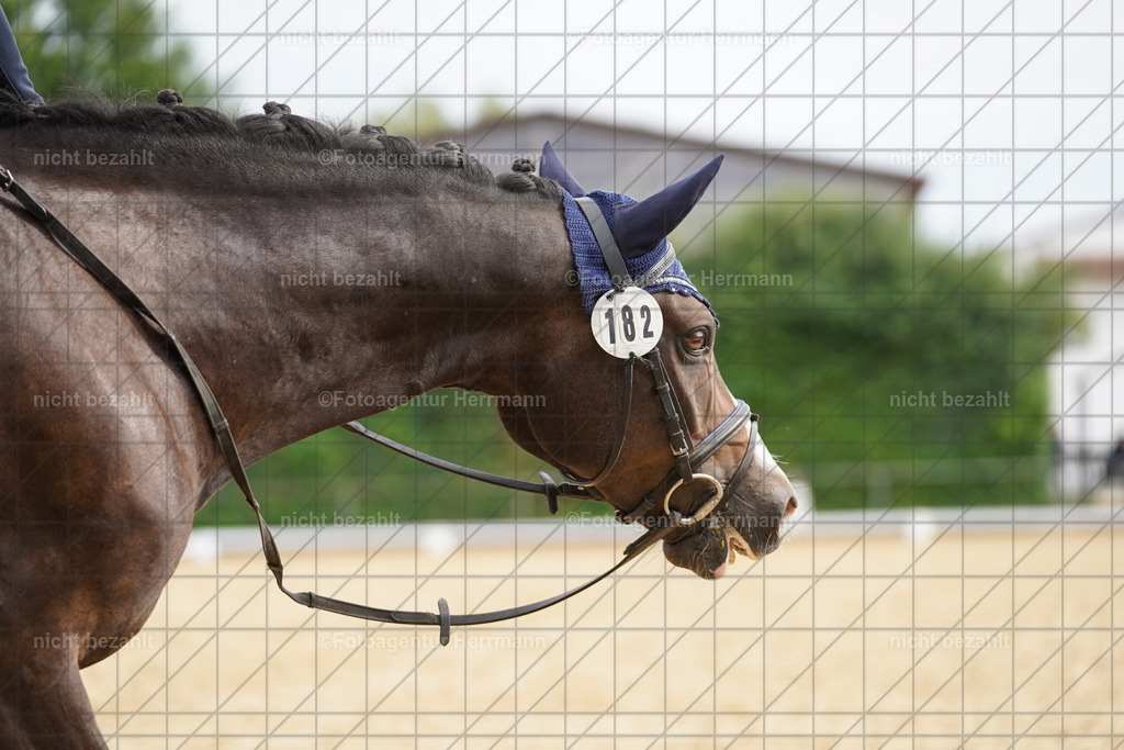 20240825-FAH00222 | Turnierbilder, Reitsportfotos, LAPO, Landesponyturnier, Turnierfotografen Bayern
