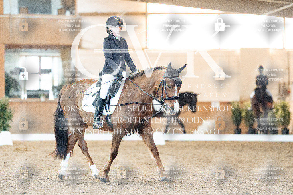 CK907040 | Turnierfotografie Pferdefotografie Trier Rheinland-Pfalz Pferdesport Reitsport Tierfotografie Sportfotografie Pferdevideo Pferdevideografie Equestrianvideography equestrianphotography  - Realisiert mit Pictrs.com