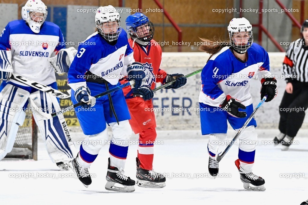 BST_5671 | hockey sports photos, Pressefotos, Sportfotos, hockey247, win 2day icehockeyleague, Handball Austria, Floorball Austria, ÖVV, Kärntner Eishockeyverband, KEHV, KFV, Kärntner Fussballverband, Österreichischer Volleyballverband, Alps Hockey League, ÖFB, 
