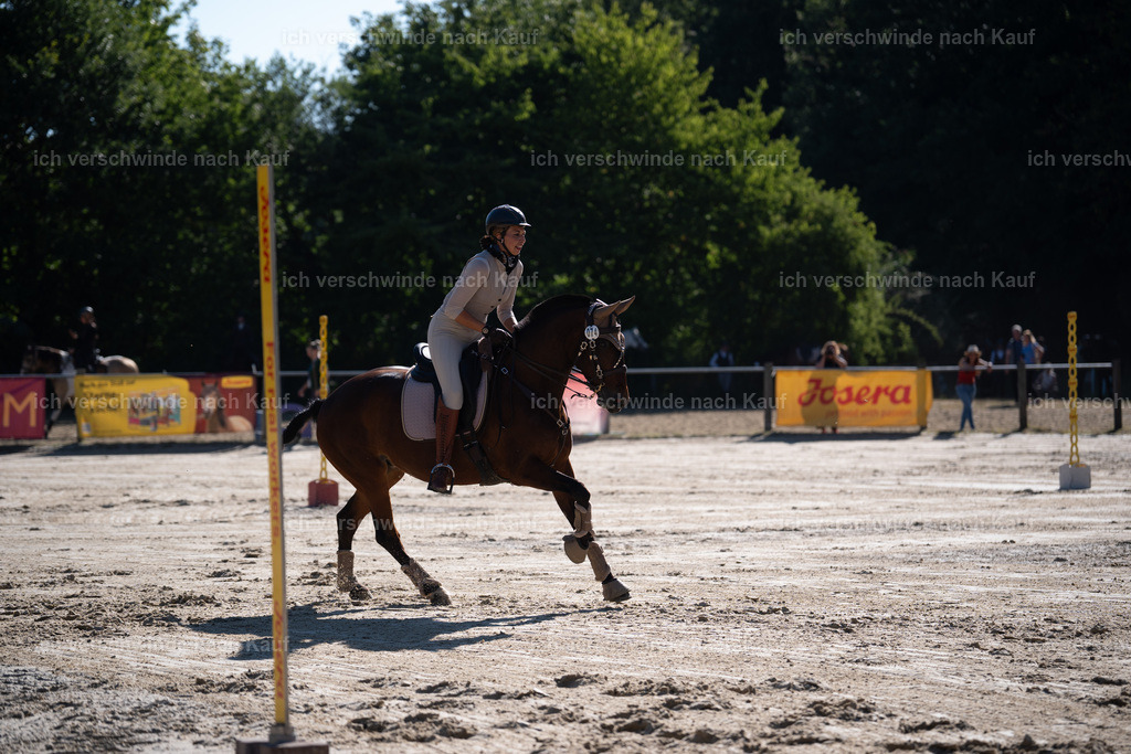WL_SP_74_Stoibphotography_SO14637 | working equitationturnier fotograf videograf stoibphotography marixx film working equitation deutschland reitsport turnierfotografie eventfotografie equestrian events