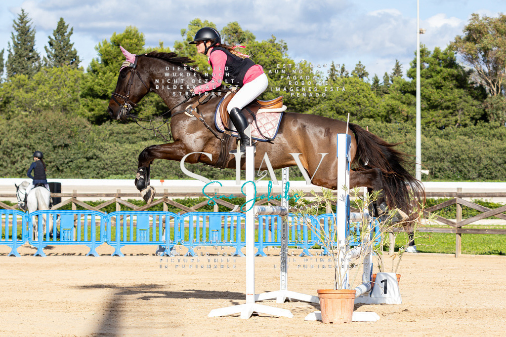 IMG_7997 | s-jay-photography - Realisiert mit Pictrs.com